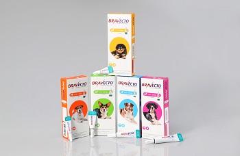 Bravecto® Lösung zum auf Haut für Hunde - MSD Tiergesundheit Deutschland
